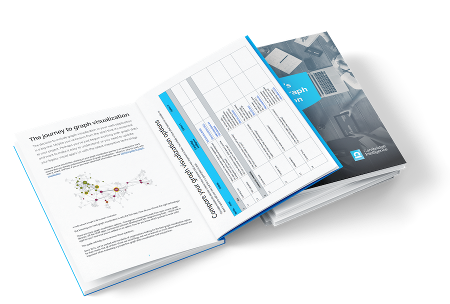 Download Our Buyer's Guide To Graph Visualization