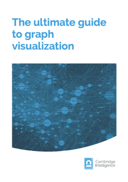 Graph visualization white paper