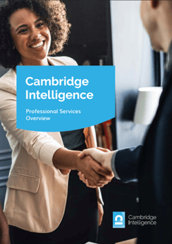 professional services