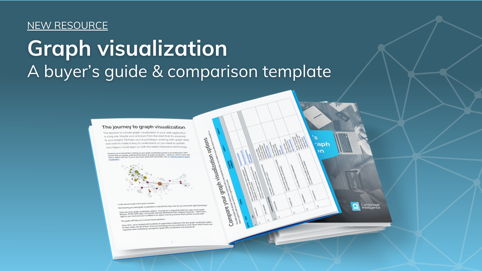 Download Our Buyer's Guide To Graph Visualization